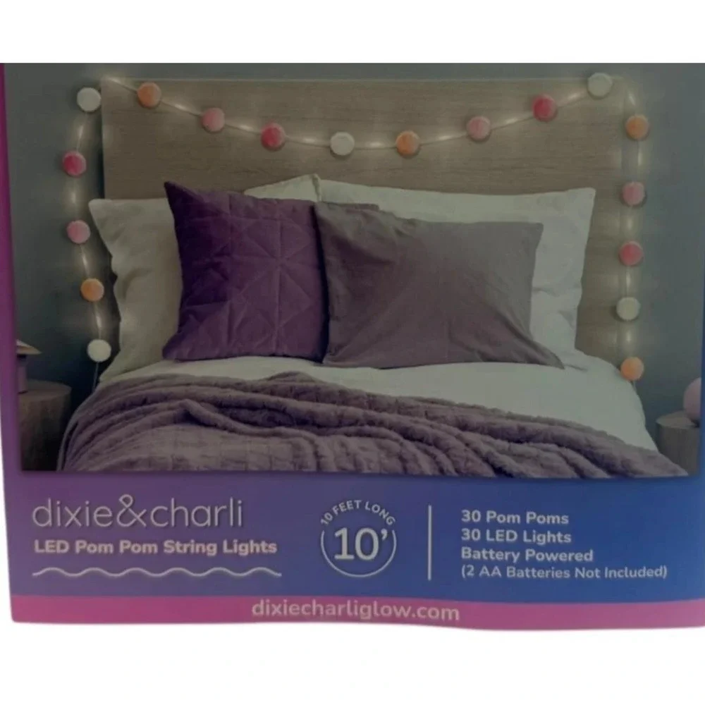 Dixie & Charli LED Pom Pom String Lights 10ft 30 LEDs Battery Powered Bin Deal